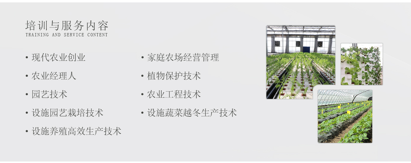 人才培養(yǎng)1920實驗2_12.jpg 人才培養(yǎng)1920實驗2_12.jpg