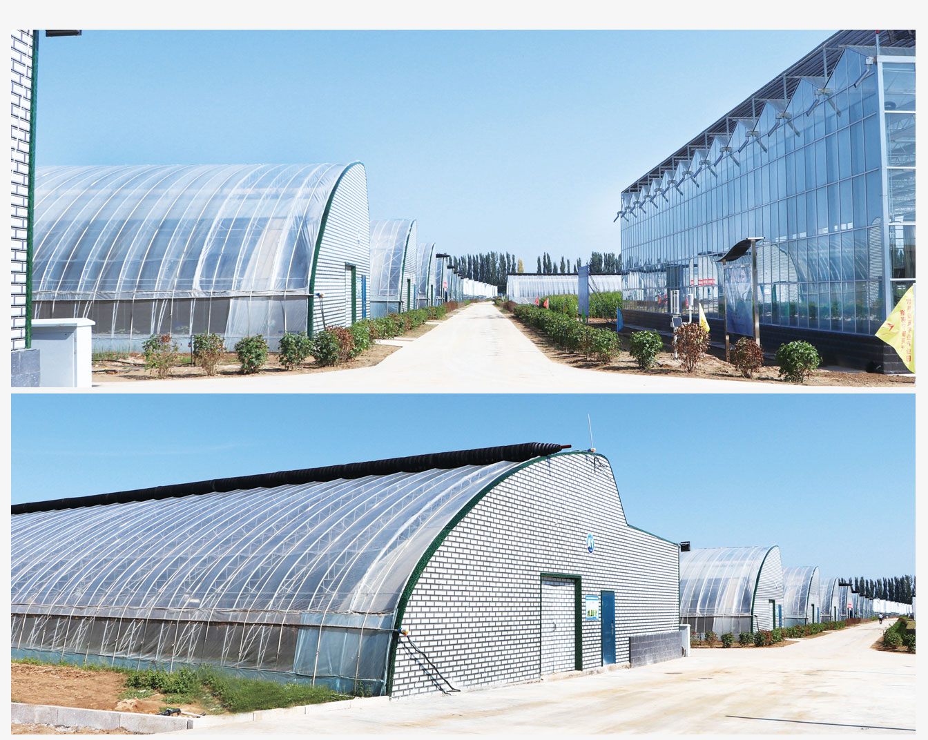 準格爾旗現(xiàn)代智慧設(shè)施農(nóng)業(yè)產(chǎn)業(yè)園_07.jpg 準格爾旗現(xiàn)代智慧設(shè)施農(nóng)業(yè)產(chǎn)業(yè)園_07.jpg