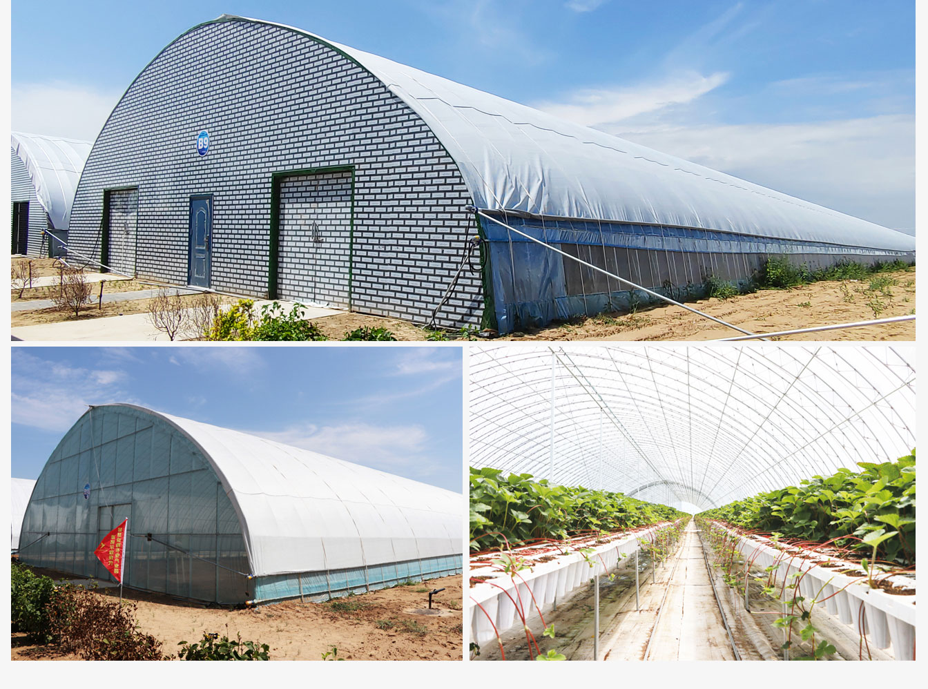準格爾旗現(xiàn)代智慧設(shè)施農(nóng)業(yè)產(chǎn)業(yè)園_08.jpg 準格爾旗現(xiàn)代智慧設(shè)施農(nóng)業(yè)產(chǎn)業(yè)園_08.jpg