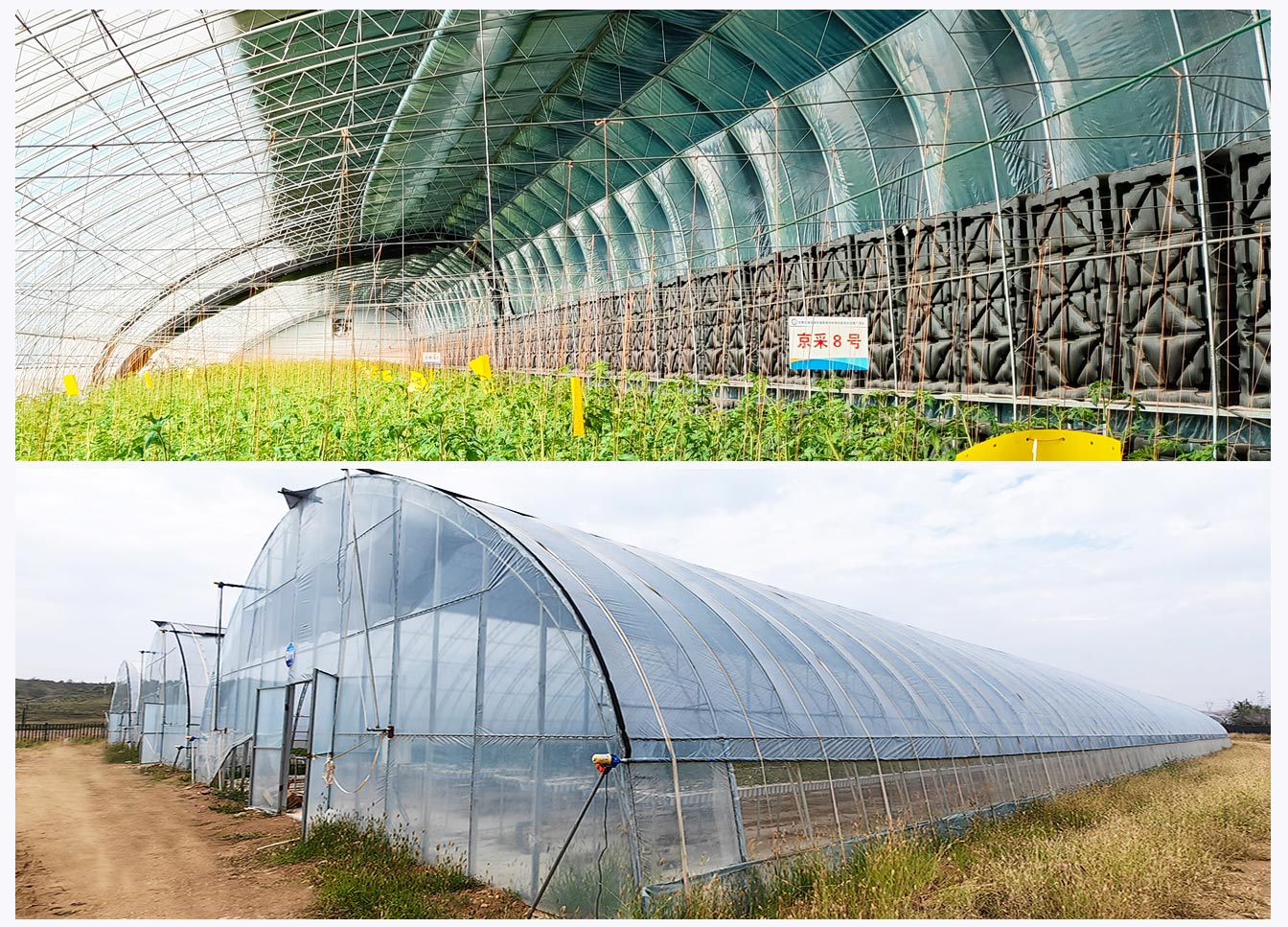 石拐區(qū)現(xiàn)代智慧設(shè)施農(nóng)業(yè)產(chǎn)業(yè)園_07.jpg 石拐區(qū)現(xiàn)代智慧設(shè)施農(nóng)業(yè)產(chǎn)業(yè)園_07.jpg