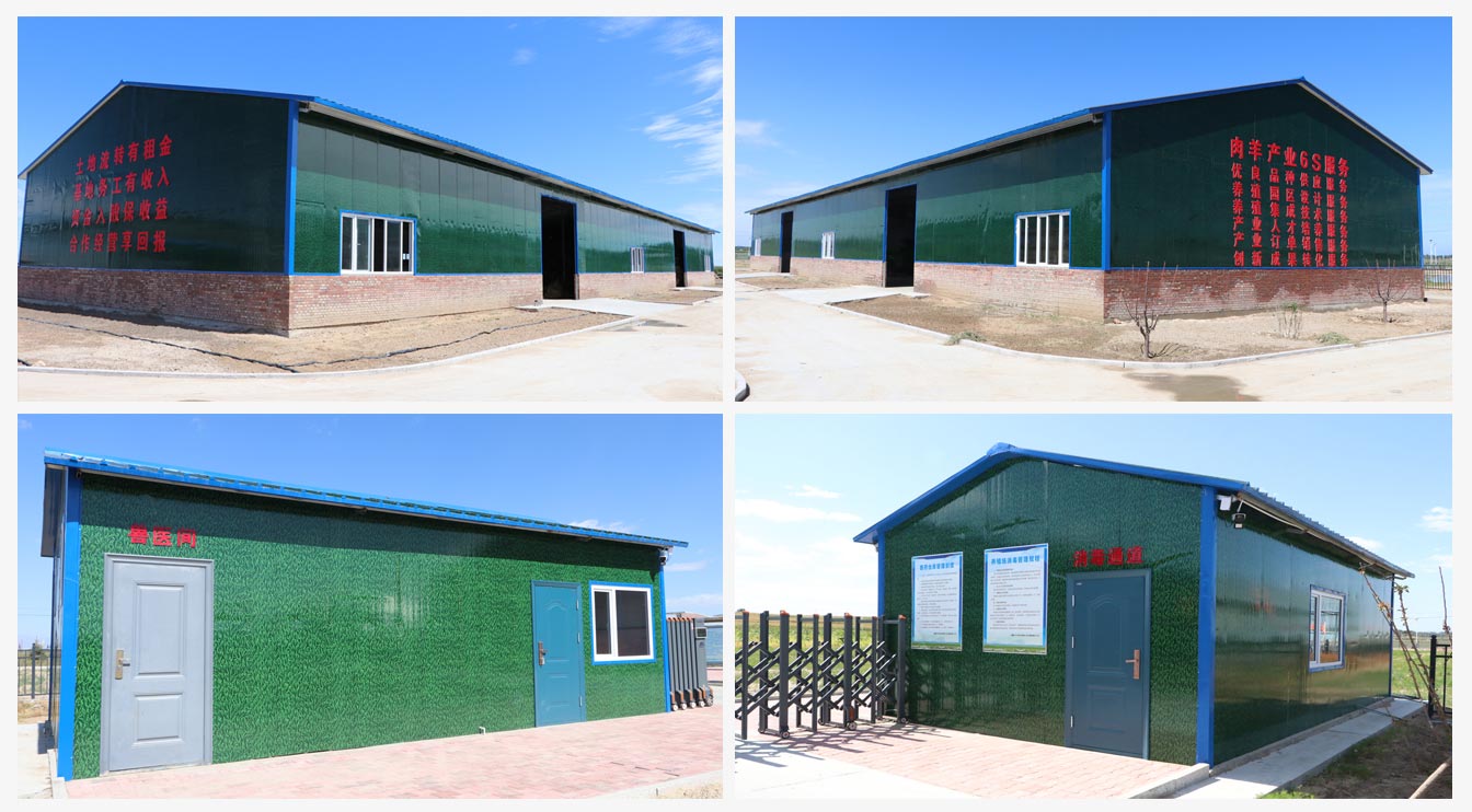 準(zhǔn)格爾旗肉羊設(shè)施養(yǎng)殖示范中心_07.jpg 準(zhǔn)格爾旗肉羊設(shè)施養(yǎng)殖示范中心_07.jpg
