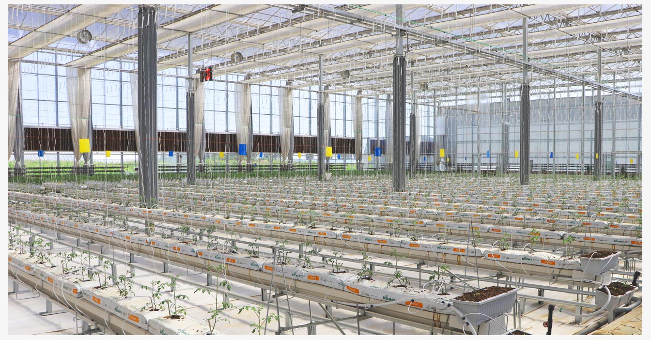 準(zhǔn)格爾旗現(xiàn)代智慧設(shè)施農(nóng)業(yè)產(chǎn)業(yè)園_09.jpg 準(zhǔn)格爾旗現(xiàn)代智慧設(shè)施農(nóng)業(yè)產(chǎn)業(yè)園_09.jpg