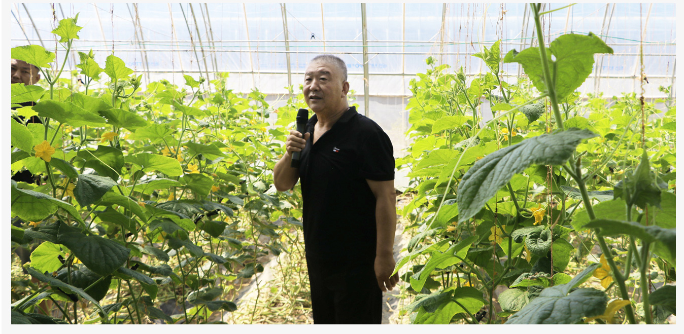 準格爾旗現(xiàn)代智慧設(shè)施農(nóng)業(yè)產(chǎn)業(yè)園_16.jpg 準格爾旗現(xiàn)代智慧設(shè)施農(nóng)業(yè)產(chǎn)業(yè)園_16.jpg