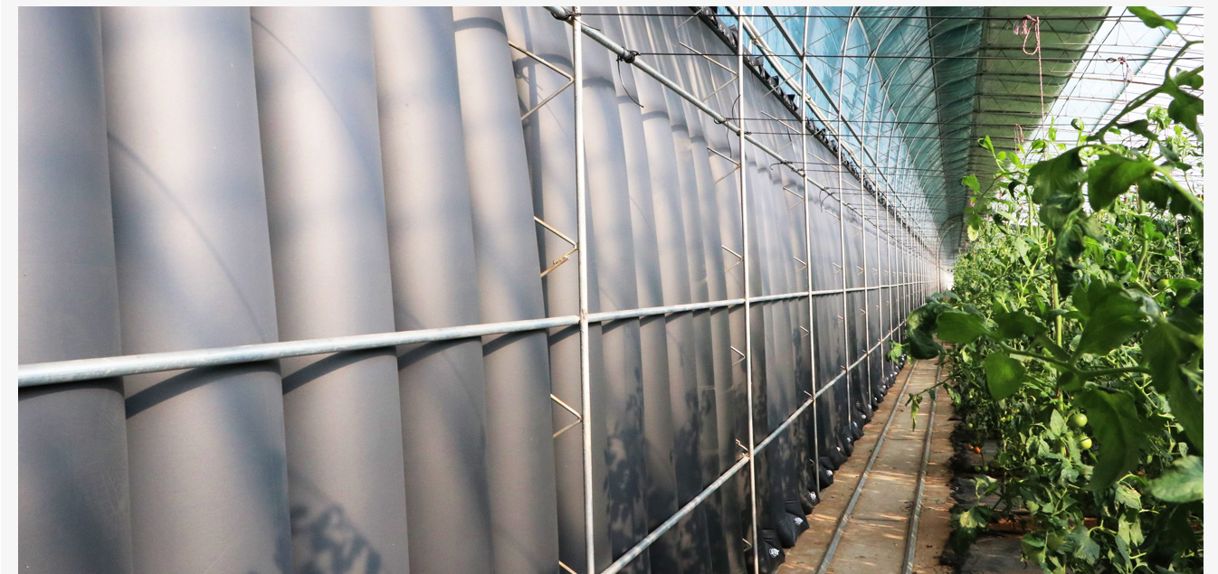 準格爾旗現(xiàn)代智慧設(shè)施農(nóng)業(yè)產(chǎn)業(yè)園_13.jpg 準格爾旗現(xiàn)代智慧設(shè)施農(nóng)業(yè)產(chǎn)業(yè)園_13.jpg