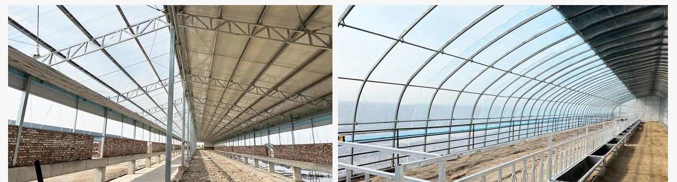 土默特右旗現(xiàn)代智慧設(shè)施肉羊產(chǎn)業(yè)技術(shù)創(chuàng)新園區(qū)_09.jpg 土默特右旗現(xiàn)代智慧設(shè)施肉羊產(chǎn)業(yè)技術(shù)創(chuàng)新園區(qū)_09.jpg