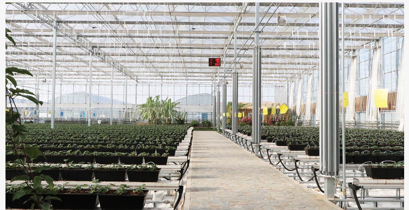 準(zhǔn)格爾旗現(xiàn)代智慧設(shè)施農(nóng)業(yè)產(chǎn)業(yè)園_15.jpg 準(zhǔn)格爾旗現(xiàn)代智慧設(shè)施農(nóng)業(yè)產(chǎn)業(yè)園_15.jpg