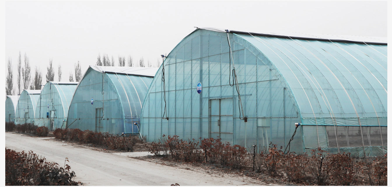 呼和浩特內(nèi)保溫日光溫室_17.jpg 準格爾旗現(xiàn)代智慧設(shè)施農(nóng)業(yè)產(chǎn)業(yè)園_17.jpg