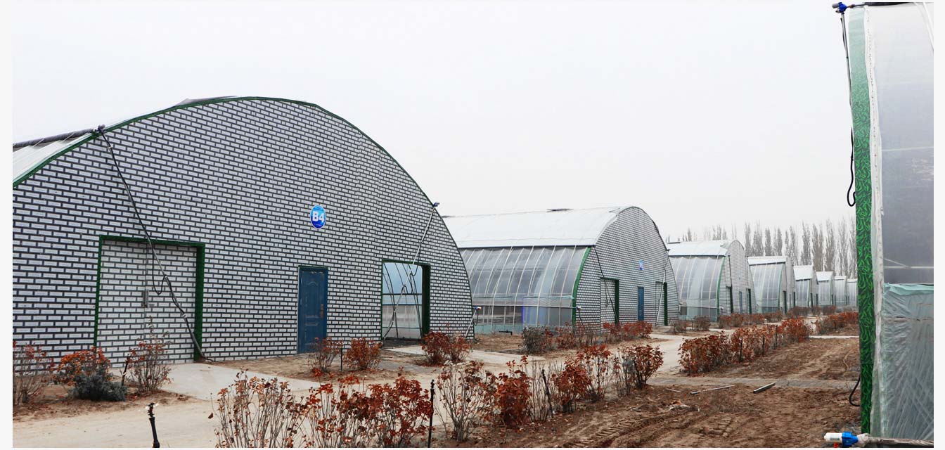 準格爾旗現(xiàn)代智慧設(shè)施農(nóng)業(yè)產(chǎn)業(yè)園_16.jpg 呼和浩特內(nèi)保溫日光溫室_16.jpg