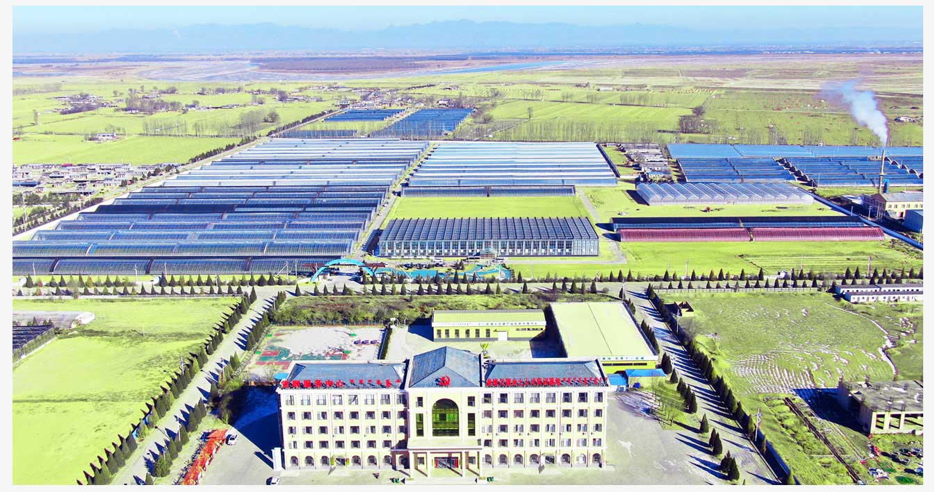 準格爾旗現(xiàn)代智慧設(shè)施農(nóng)業(yè)產(chǎn)業(yè)園_04.jpg 準格爾旗現(xiàn)代智慧設(shè)施農(nóng)業(yè)產(chǎn)業(yè)園_04.jpg