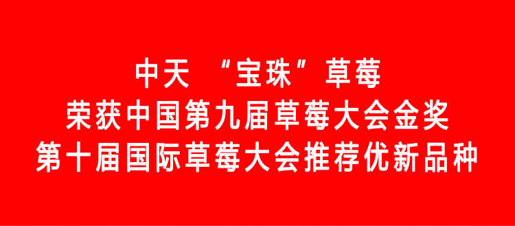 草莓1920網(wǎng)50像素2025年3月12日網(wǎng)頁_01.jpg 草莓1920網(wǎng)50像素2025年3月12日網(wǎng)頁_01.jpg